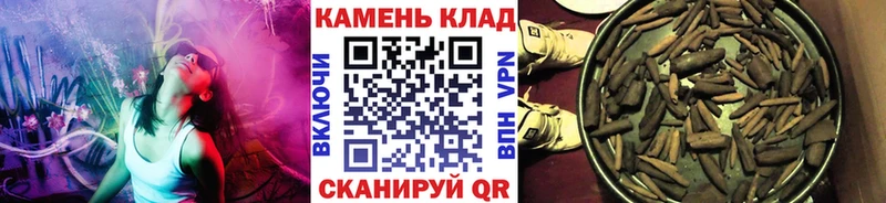 Купить закладки  Петухово  ГАШ VHQ 