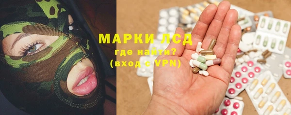 PSILOCYBIN Медвежьегорск