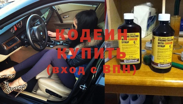 PSILOCYBIN Медвежьегорск