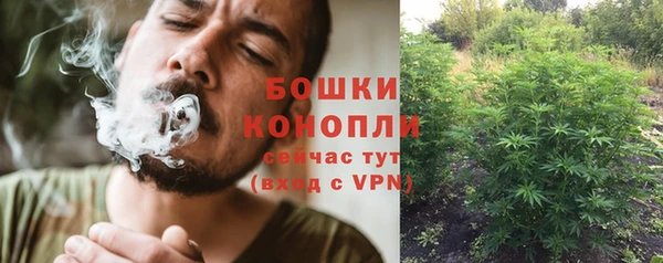 дживик Медногорск