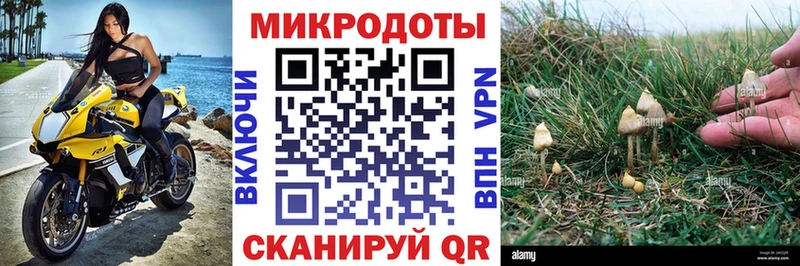 Галлюциногенные грибы ЛСД  Купить закладки  Петухово 